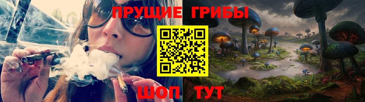 Псилоцибиновые грибы мицелий  Псилоцибиновые грибы Cubensis  Иваново  Вход с VPN 
